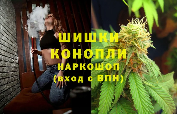 прущие грибы Алзамай